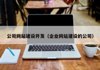 公司网站建设开发（企业网站建设的公司）