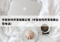 中智软件开发有限公司（中智软件开发有限公司电话）