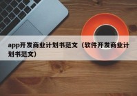 app开发商业计划书范文（软件开发商业计划书范文）