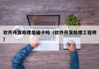 软件开发助理是骗子吗（软件开发助理工程师）