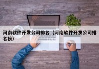 河南软件开发公司排名（河南软件开发公司排名榜）