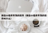 微信小程序开发的软件（微信小程序开发的软件叫什么）