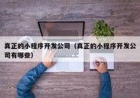 真正的小程序开发公司（真正的小程序开发公司有哪些）