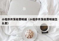 小程序开发收费明细（小程序开发收费明细怎么查）