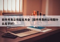 软件开发公司起名大全（软件开发的公司取什么名字好）