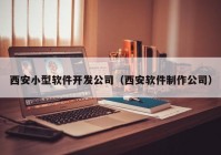 西安小型软件开发公司（西安软件制作公司）