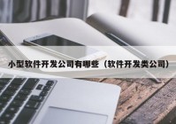 小型软件开发公司有哪些（软件开发类公司）