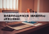 国内最好的app开发公司（国内最好的app开发公司排名）