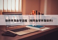 软件开发自学流程（如何自学开发软件）