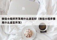 微信小程序开发用什么语言好（微信小程序要用什么语言开发）