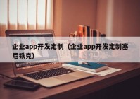 企业app开发定制（企业app开发定制塞尼铁克）