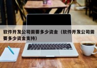 软件开发公司需要多少资金（软件开发公司需要多少资金支持）