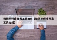 微信小程序开发工具apk（微信小程序开发工具介绍）